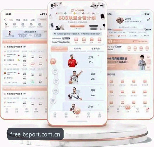 B体育平台深度评测：B体育官网下载功能与使用体验全面分析