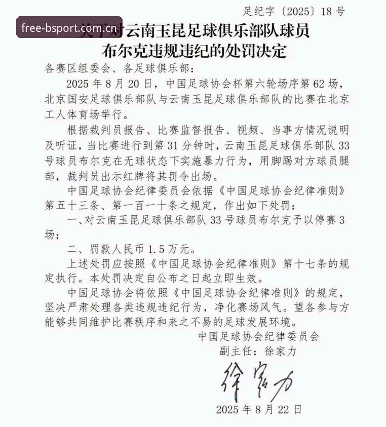 BSPORT最新版本安装教程 足协第三批禁足名单详解:65人受罚背后的行业反思